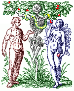 ALMA @ AMLA > DON'T TAKE AN APPLE